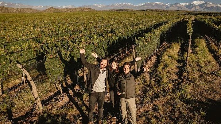Uco Valley Wine Tour with Lunch: Salentein, Finca Adelma, La Azul and Bousquet (2/12)