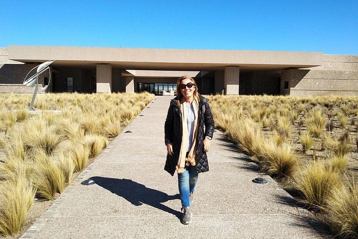 Private Uco Valley Wine Day with Driver: Bousquet, Salentein and Andean Lunch (6/12)