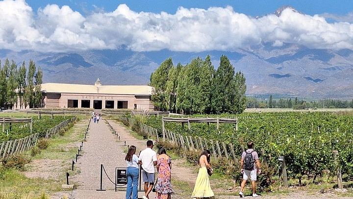 Private Uco Valley Wine Day with Driver: Bousquet, Salentein and Andean Lunch (2/12)