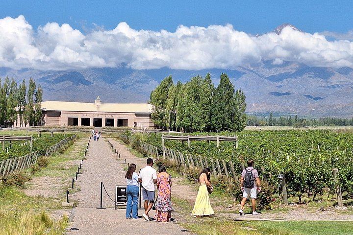 Private Uco Valley Wine Day with Driver: Bousquet, Salentein and Andean Lunch (2/12)
