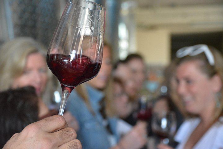 Small-Group Chianti Half-Day: Two Family Wineries, 8 Wines and Home-Cooked Lunch, Max 8 (7/12)