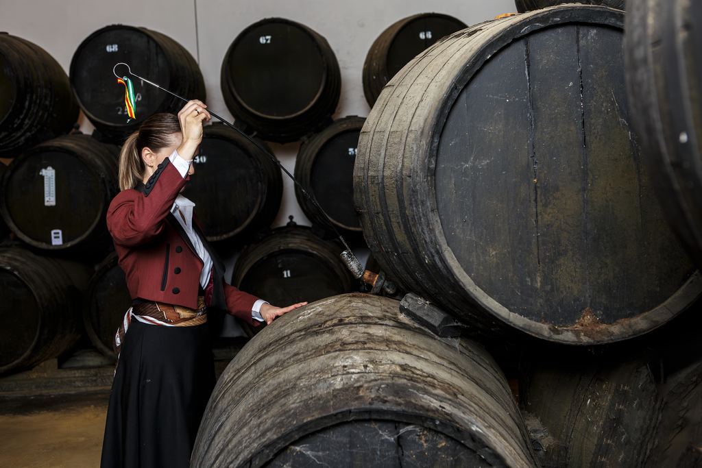 A cellar worker uses a long venencia to draw a wine sample from a barrel among rows of old casks