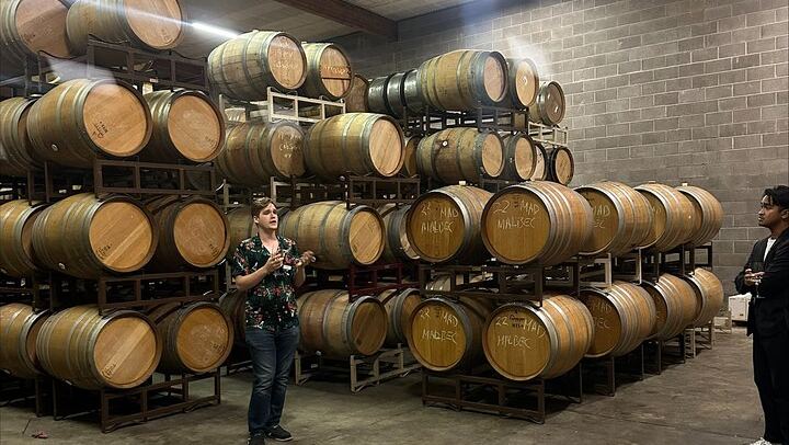 Napa and Sonoma Wine Country Day Tour with 48-Hour San Francisco Hop-On Hop-Off (4/8)