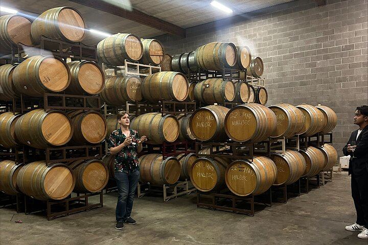 Napa and Sonoma Wine Country Day Tour with 48-Hour San Francisco Hop-On Hop-Off (4/8)