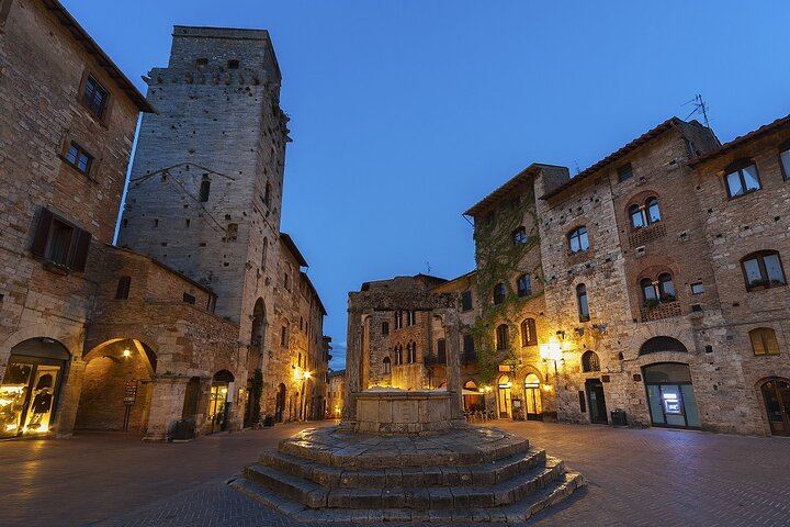 Private San Gimignano and Chianti Classico Wine and Food Day from Florence by Mercedes (4/12)