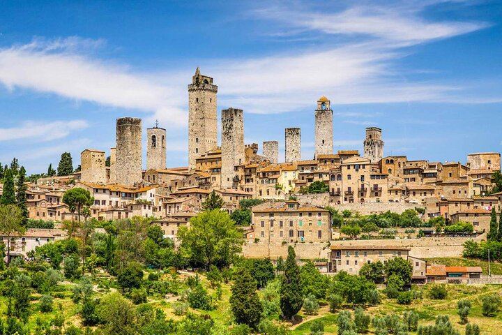 Private San Gimignano and Chianti Classico Wine and Food Day from Florence by Mercedes (6/12)