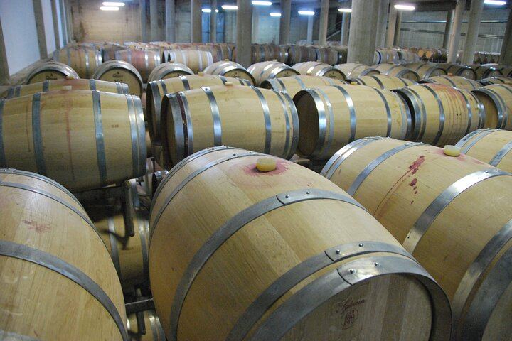 Private San Gimignano and Chianti Classico Wine and Food Day from Florence by Mercedes (10/12)