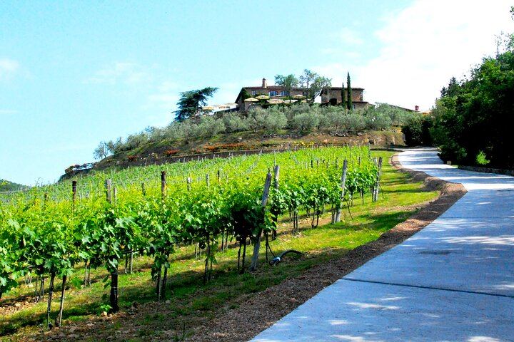 Private San Gimignano and Chianti Classico Wine and Food Day from Florence by Mercedes (7/12)