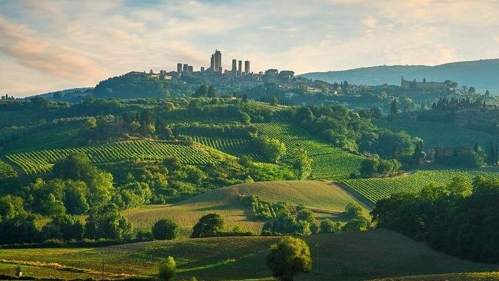 Semi-Private Mercedes Van Wine Day from Florence: San Gimignano and Prosecco (2/12)