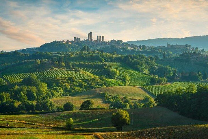 Semi-Private Mercedes Van Wine Day from Florence: San Gimignano and Prosecco (2/12)