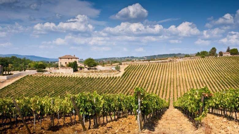 Florence Day Trip to Monteriggioni, Siena, San Gimignano and a Chianti Vineyard Tasting (4/4)