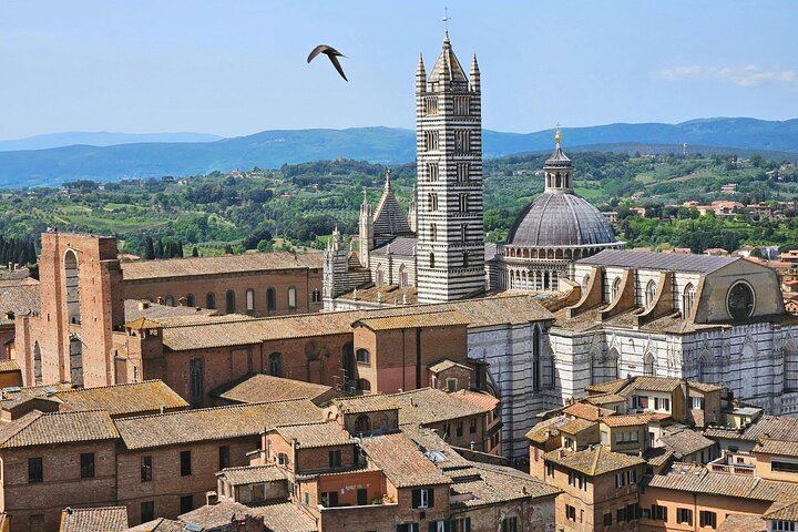 Gray Line Florence Tuscany Day Tour: San Gimignano, Monteriggioni, Chianti Lunch, Siena (8/12)