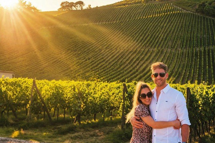 Evening Chianti Winery Dinner from San Gimignano: Cellar Tour, Tasting and Ribollita (4/5)