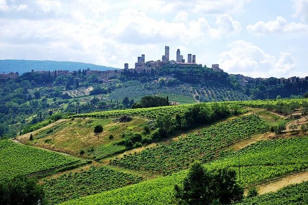 Private San Gimignano and Chianti Classico Wine and Food Day from Florence by Mercedes