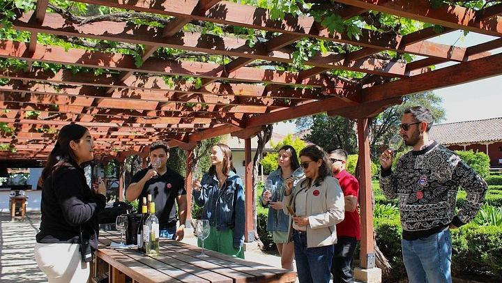 Santa Rita Vineyard Tour from Santiago with Wine Tasting and Three-Course Lunch (1/11)