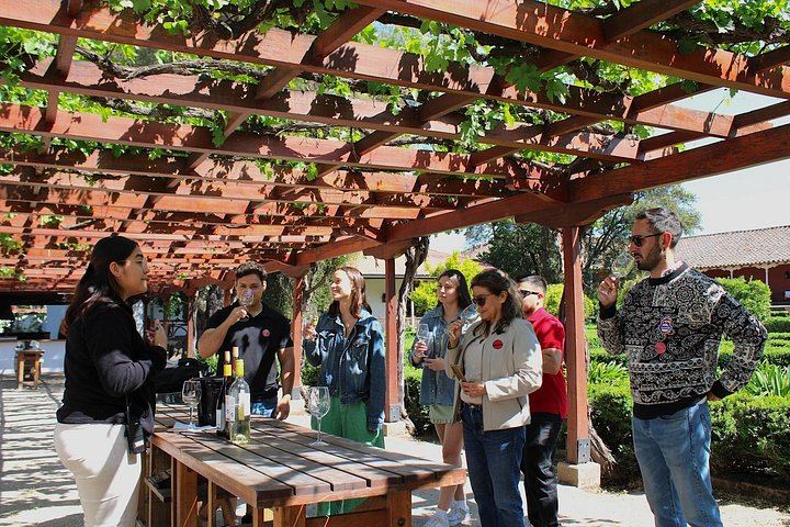 Santa Rita Vineyard Tour from Santiago with Wine Tasting and Three-Course Lunch (1/11)