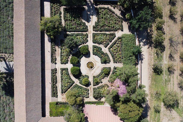 Santa Rita Vineyard Tour from Santiago with Wine Tasting and Three-Course Lunch (3/11)