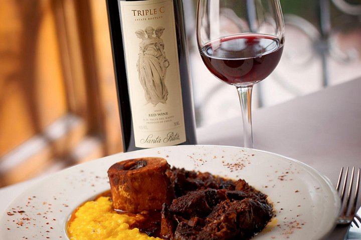 Santa Rita Vineyard Tour from Santiago with Wine Tasting and Three-Course Lunch (8/11)