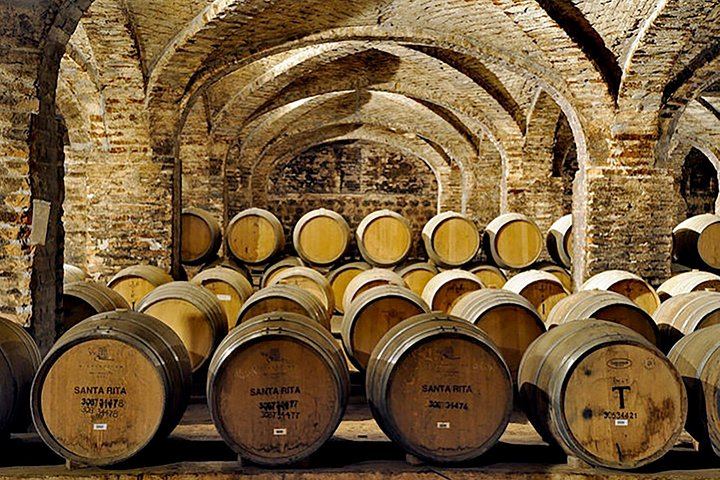 Santa Rita Vineyard Tour from Santiago with Wine Tasting and Three-Course Lunch (6/11)