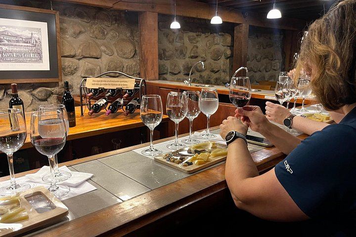 Santa Rita Vineyard Tour from Santiago with Wine Tasting and Three-Course Lunch (5/11)