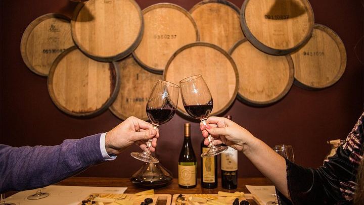 Santa Rita Premium Winery Tour in Alto Jahuel: Cellars, Roman Baths, 3 Wines (4/5)