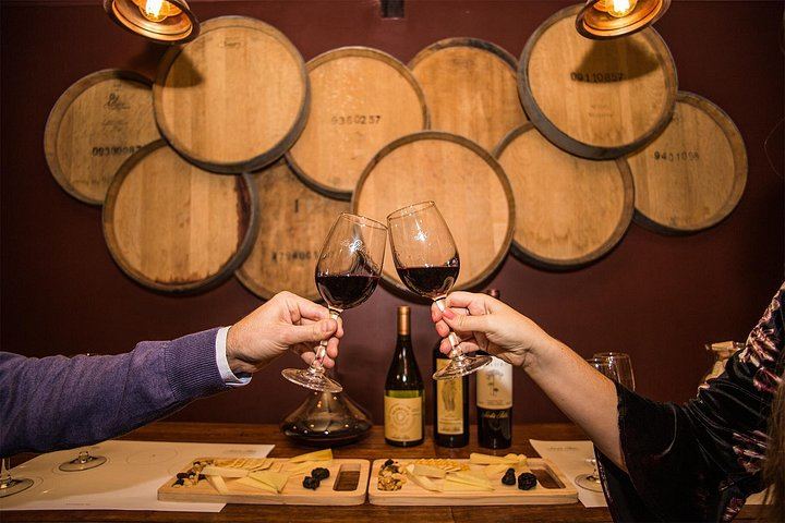 Santa Rita Premium Winery Tour in Alto Jahuel: Cellars, Roman Baths, 3 Wines (4/5)