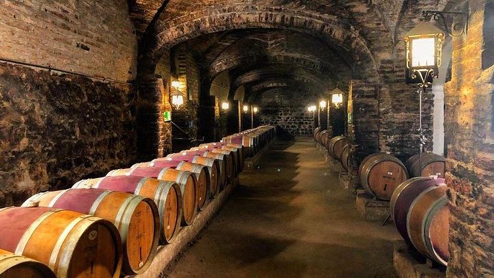 Santa Rita Selection Winery Tour in Alto Jahuel: Cal y Canto and Patriots' Cellars (4/6)