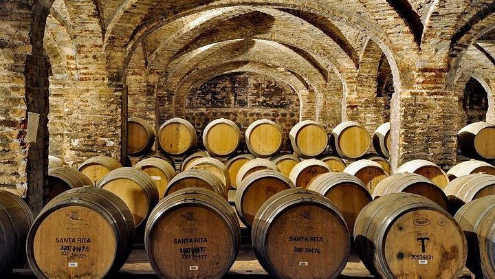 Santa Rita Selection Winery Tour in Alto Jahuel: Cal y Canto and Patriots' Cellars (1/6)