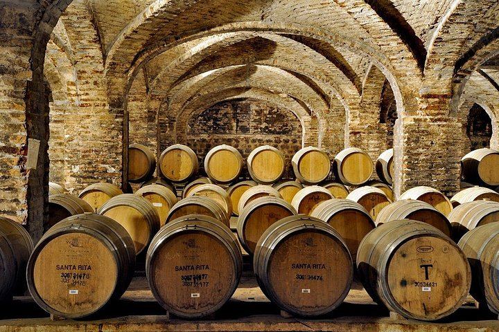 Santa Rita Selection Winery Tour in Alto Jahuel: Cal y Canto and Patriots' Cellars (1/6)