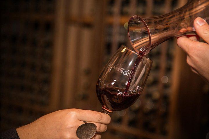 Santa Rita Selection Winery Tour in Alto Jahuel: Cal y Canto and Patriots' Cellars (3/6)