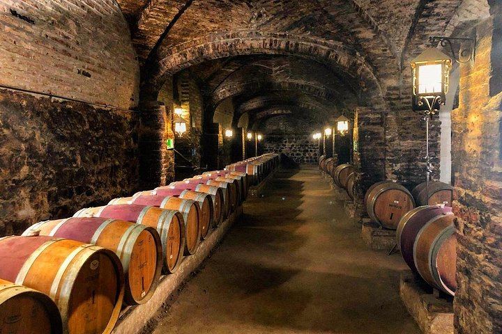 Santa Rita Selection Winery Tour in Alto Jahuel: Cal y Canto and Patriots' Cellars (4/6)