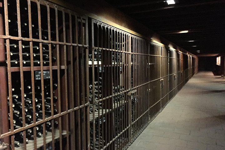 Santa Rita Selection Winery Tour in Alto Jahuel: Cal y Canto and Patriots' Cellars (5/6)