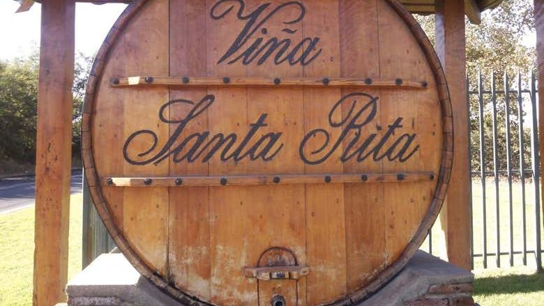 Santa Rita Winery Tour from Santiago with Hotel Pickup and Cellar of the 120 Patriots (1/7)