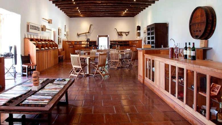 Santa Rita Winery Tour from Santiago with Hotel Pickup and Cellar of the 120 Patriots (2/7)