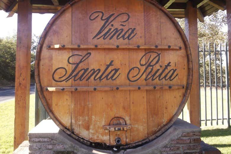 Santa Rita Winery Tour from Santiago with Hotel Pickup and Cellar of the 120 Patriots (1/7)