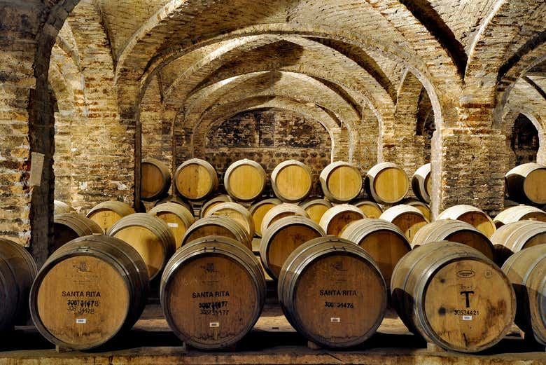 Santa Rita Winery Tour from Santiago with Hotel Pickup and Cellar of the 120 Patriots (3/7)