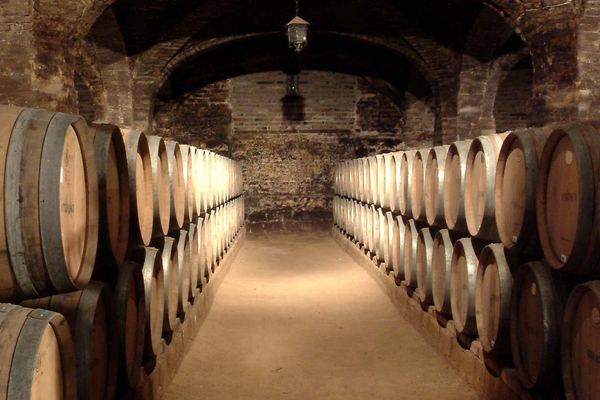 Santa Rita Winery Tour from Santiago with Hotel Pickup and Cellar of the 120 Patriots