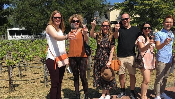 North Sonoma County Small-Group Winery Tour from Santa Rosa or Healdsburg (1/5)