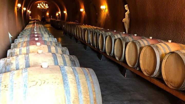 North Sonoma County Small-Group Winery Tour from Santa Rosa or Healdsburg (4/5)