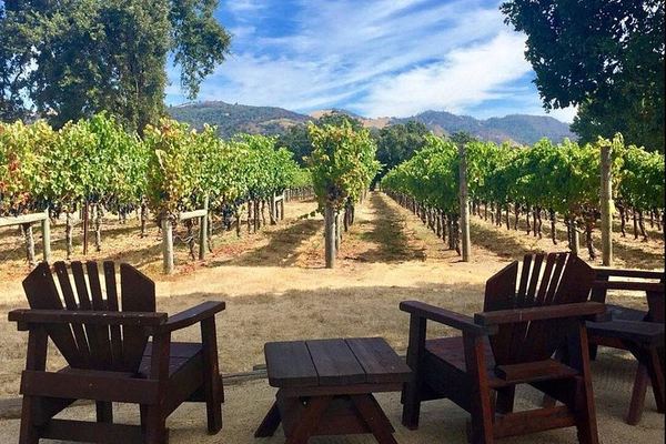 North Sonoma County Small-Group Winery Tour from Santa Rosa or Healdsburg