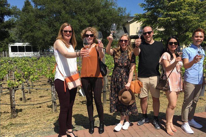 North Sonoma County Small-Group Winery Tour from Santa Rosa or Healdsburg (1/5)