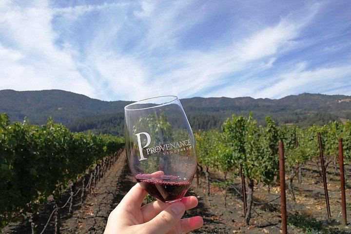 North Sonoma County Small-Group Winery Tour from Santa Rosa or Healdsburg (3/5)