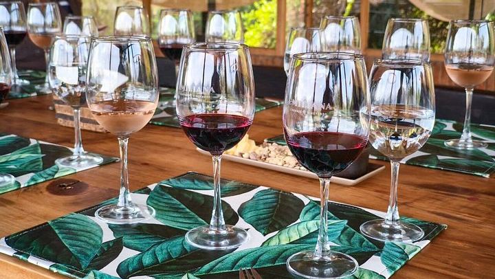Santiago Pickup Day Tour: Viña del Mar, Valparaíso Hills and Casablanca Wine Tasting (1/12)