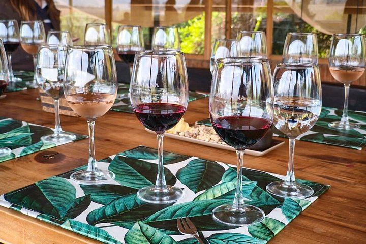 Santiago Pickup Day Tour: Viña del Mar, Valparaíso Hills and Casablanca Wine Tasting (1/12)