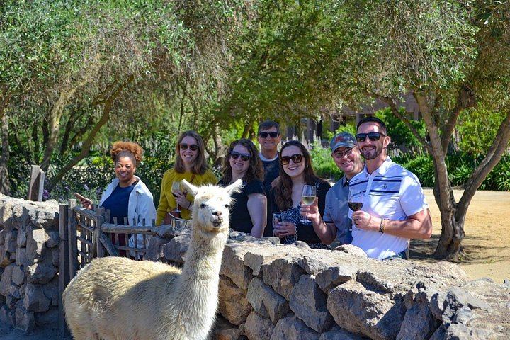 Santiago Pickup Day Tour: Viña del Mar, Valparaíso Hills and Casablanca Wine Tasting (6/12)