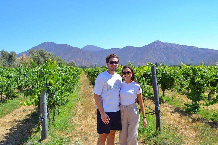 Santiago Pickup Day Tour: Viña del Mar, Valparaíso Hills and Casablanca Wine Tasting (12/12)