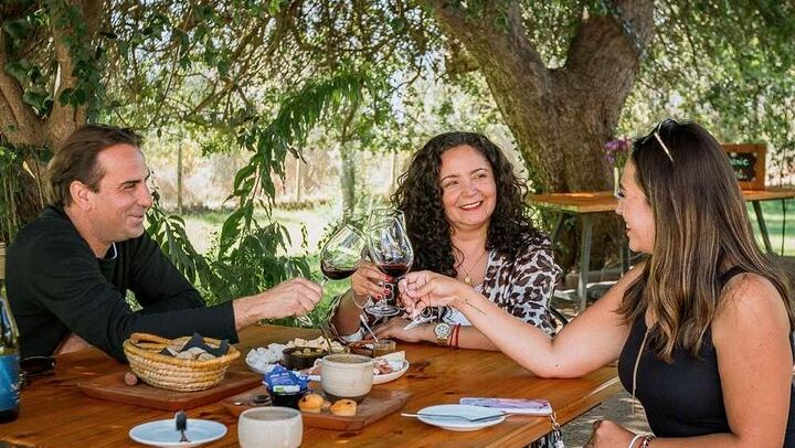 Private Organic Wine Tour in Casablanca Valley with Boutique Wineries and Lunch (3/12)