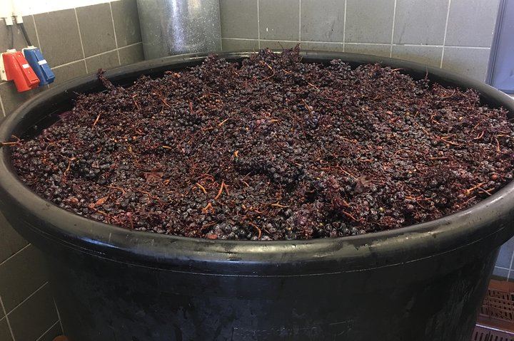 Santorini Three-Winery Tour by Mercedes Van with 12 Tastings, Megalochori and Oia Sunset (12/12)