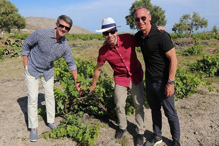 Private Santorini Wine Tour: Argyros, Gaia and Santo Wines, 4 Hours (9/12)