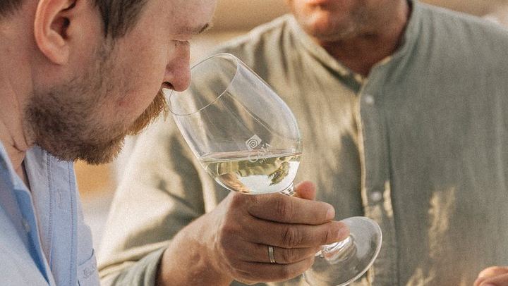 Santorini Daytime Wine Tour: 3 Wineries, Cellar Visits and 12 Tastings, 5 Hours (3/12)